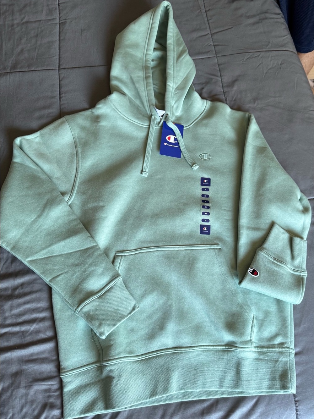 NEW Champion Mint Green Crewneck Hoodie